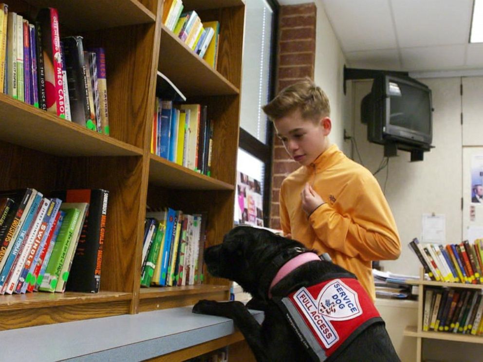 PHOTO: Hayden Kreikemeier, 13, first got his Labrador retriever, Trixie, three years ago to help with his life-threatening nut allergy.