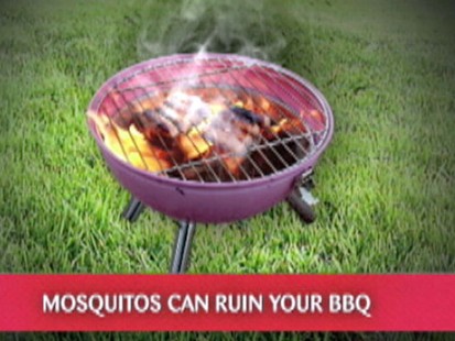 VIDEO: Changing outdoor light bulbs to color can help cut down the mosquitoes.