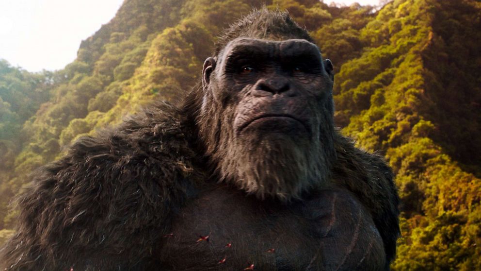 PHOTO: A scene from "Godzilla vs. Kong."