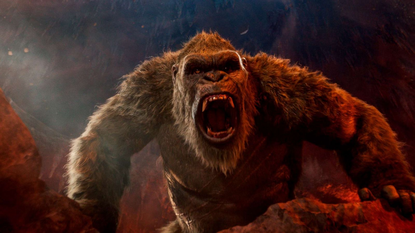 PHOTO: A scene from "Godzilla vs. Kong."