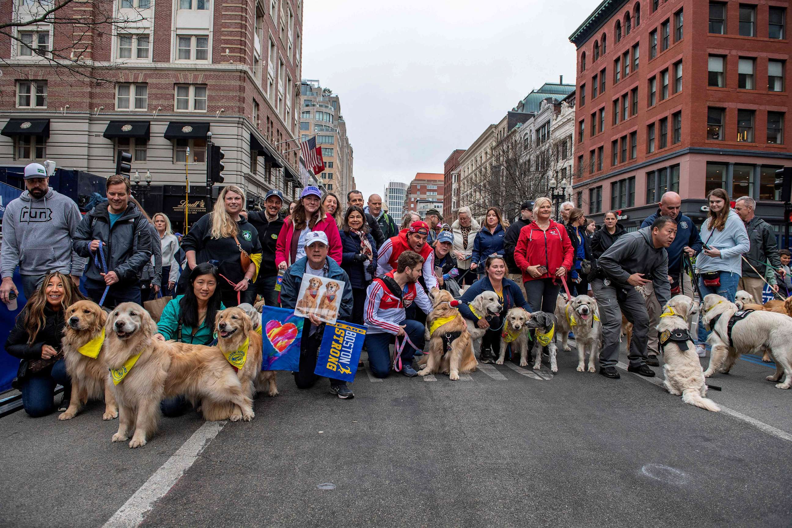 PHOTO: Dozens of golden retrievers gather with their owners, and some other breeds, to pose for photos and play together in Boston, April 16, 2023.