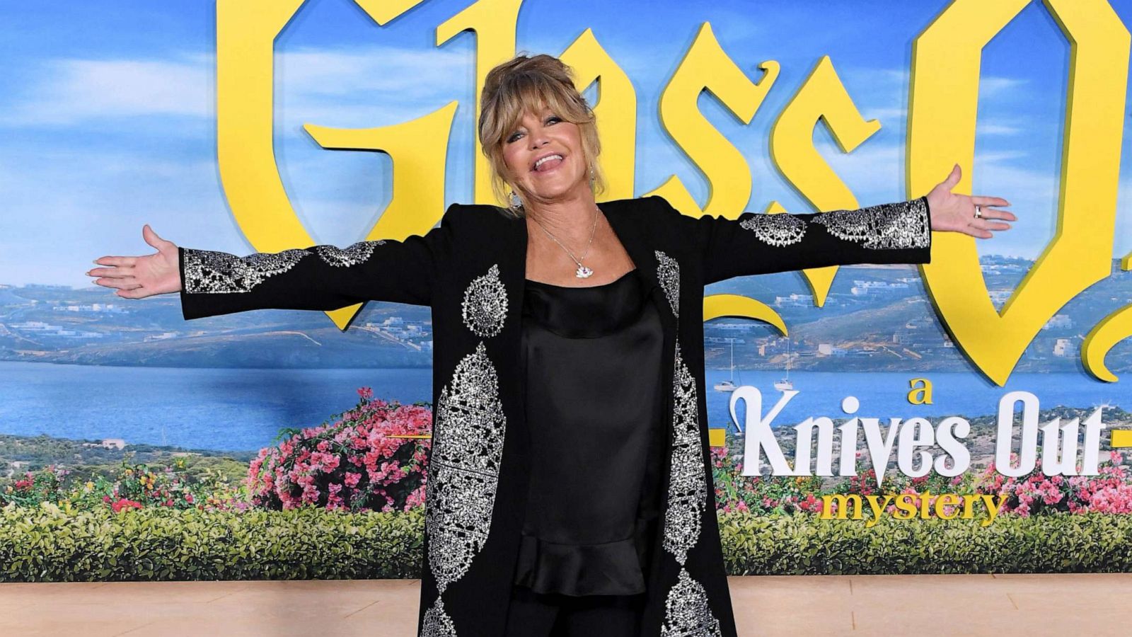 Goldie Hawn dances the cha cha slide in cute video Watch now