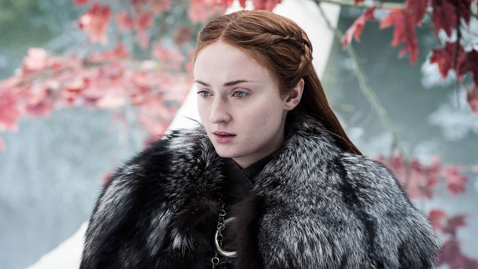 PHOTO: Sophie Turner, as Sansa Stark, in a scene from "Game of Thrones."