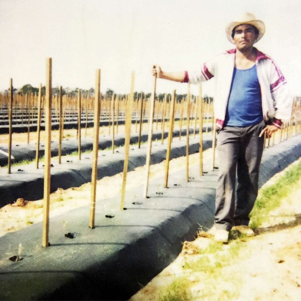 PHOTO:  Loreto Juárez, 56, at a tomato field in an undated photo. 