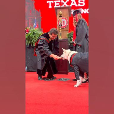 PHOTO: Makaela Muse graduated from Texas Tech University on May 16, 2026, and received her bachelor’s degree, while her service dog Sadie also received a “dogploma.”