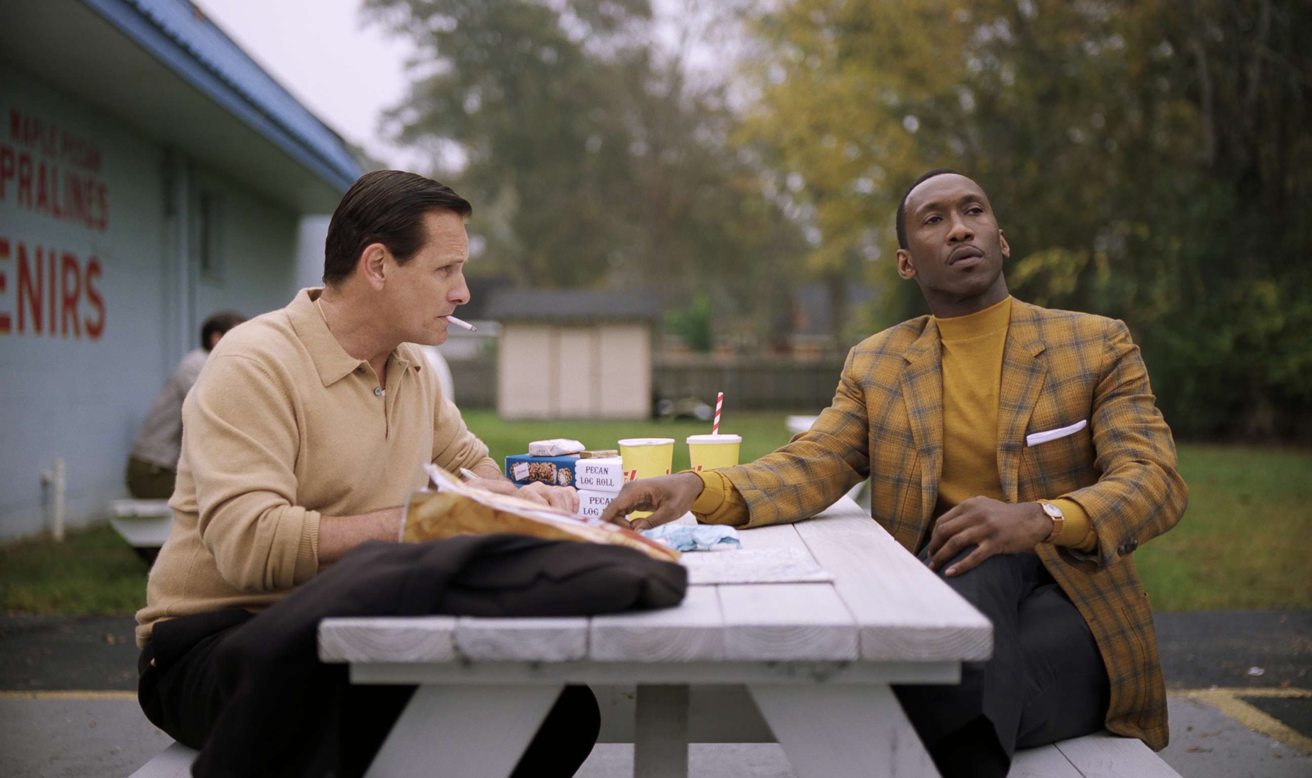 PHOTO: Viggo Mortensen as Tony Vallelonga and Mahershala Ali as Dr. Donald Shirley in "Green Book," directed by Peter Farrelly.