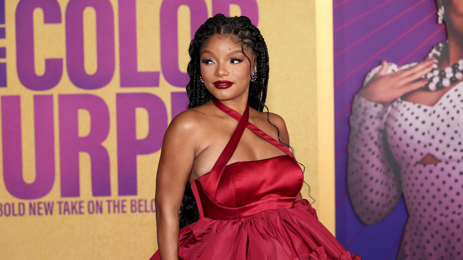 PHOTO: Halle Bailey attends the World Premiere of Warner Bros.' "The Color Purple" at Academy Museum of Motion Pictures on December 06, 2023 in Los Angeles.