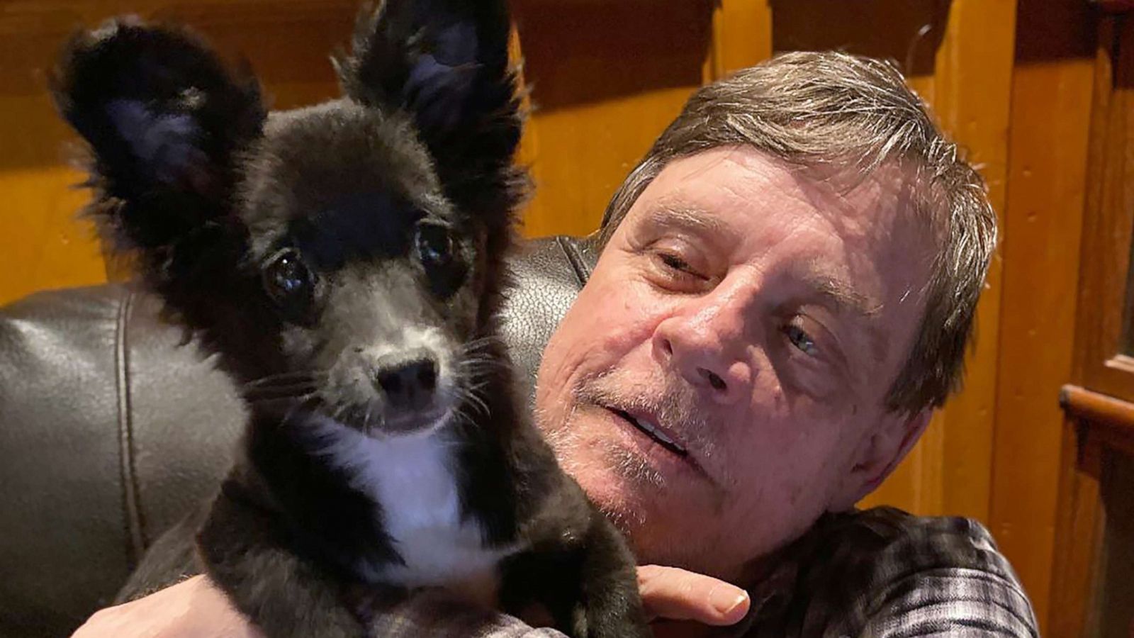 PHOTO: Mark Hamill posted a photo on Twitter introducing the newest member of his family, Molly Mae Hamill.