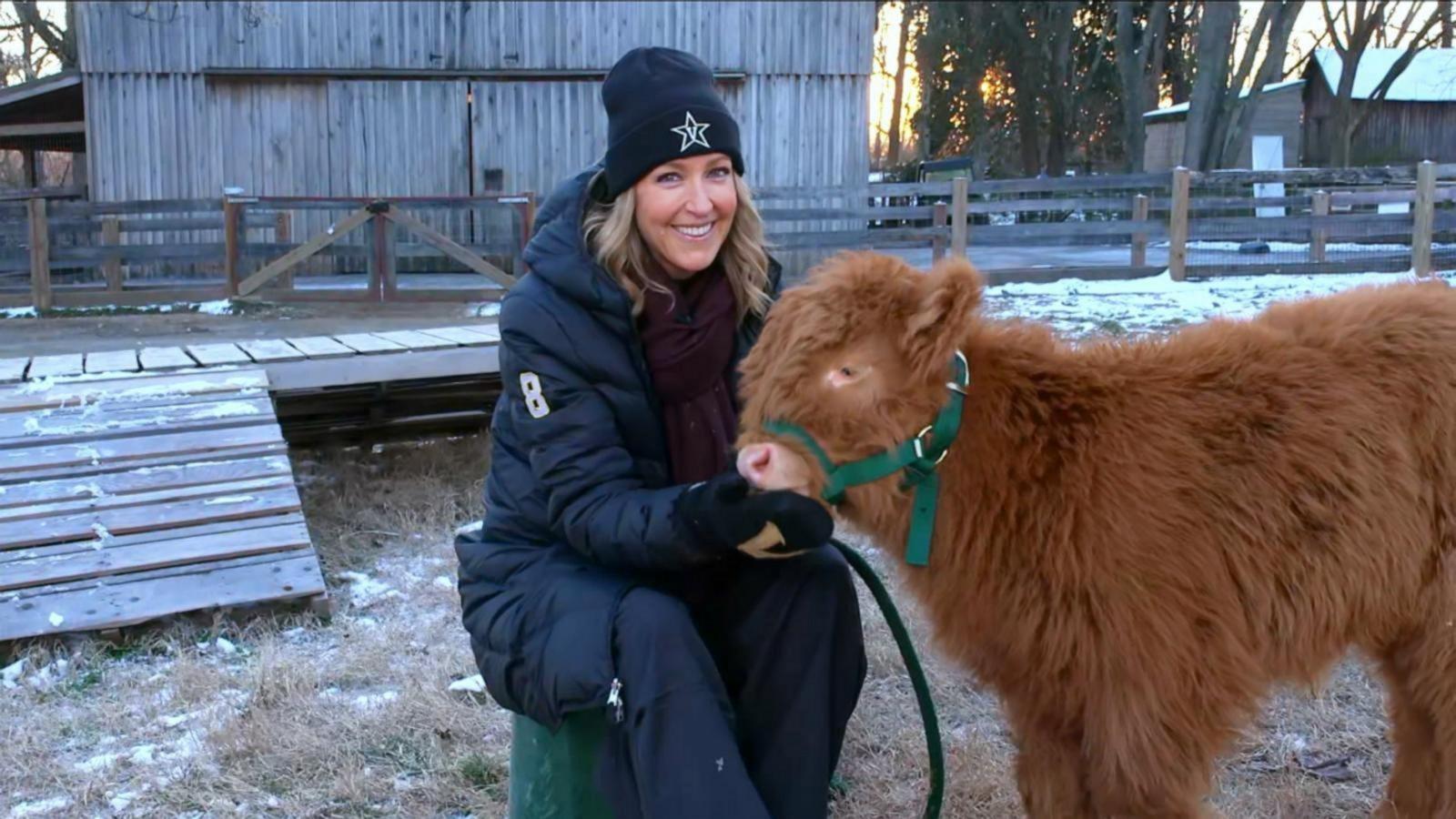 PHOTO: "Good Morning America's" Lara Spencer with Hamish, an 8-week-old calf Scottish Highland calf and the newest celebrity at Nashville Zoo.