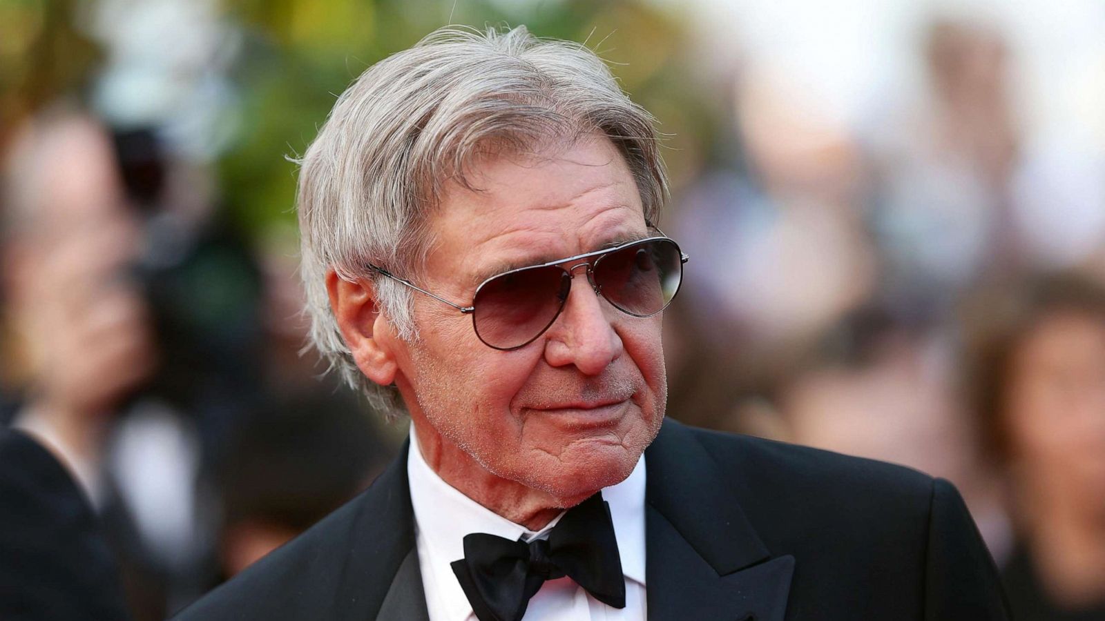 PHOTO: In this May 18, 2014, file photo, Harrison Ford attends the Cannes Film Festival in Cannes, France.