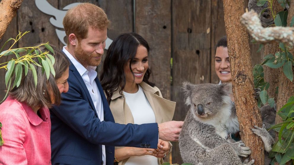 PHOTO: The Duke and Duchess of Sussex meet a Koala called Ruby during a visit to Taronga Zoo in Sydney on the first day of the Royal couple's visit to Australia, Oct. 16, 2018. 