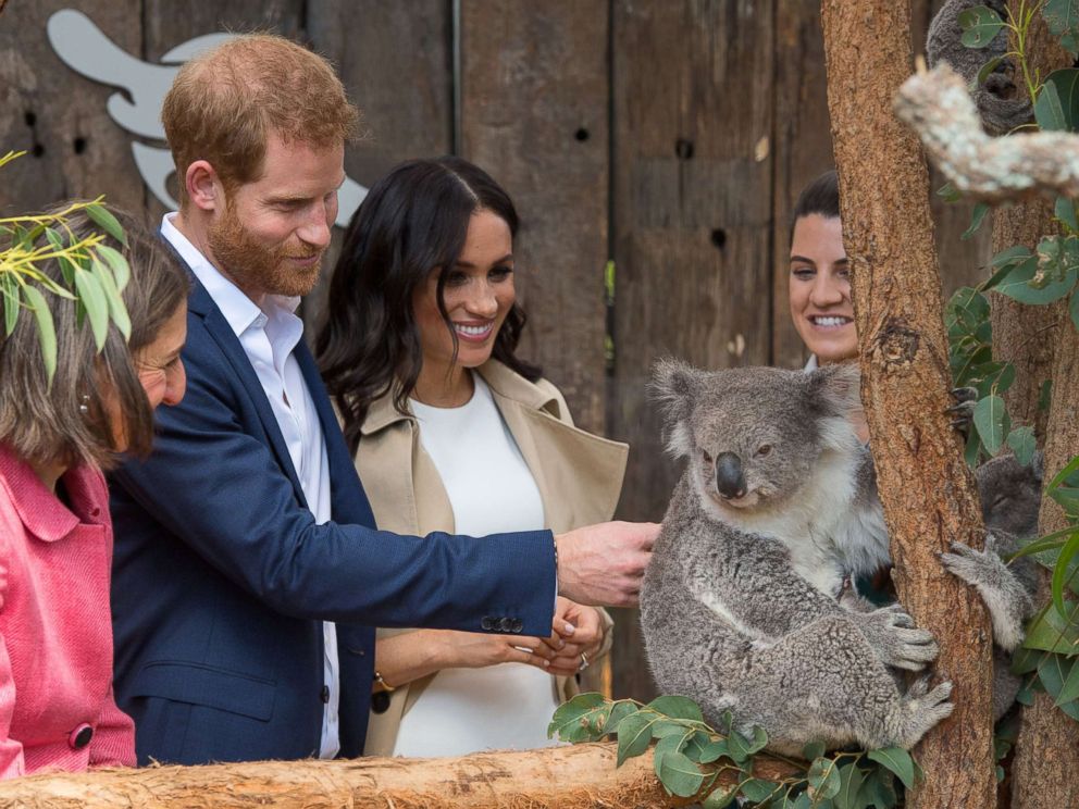 PHOTO: The Duke and Duchess of Sussex meet a koala called Ruby during a visit to Taronga Zoo in Sydney on the first day of the royal visit to Australia on October 16, 2018. 