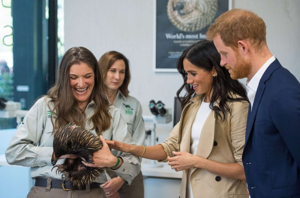 PHOTO: The Duke and Duchess of Sussex meet an echidna during a visit to Taronga Zoo in Sydney on the first day of the Royal couple's visit to Australia, Oct. 16, 2018.