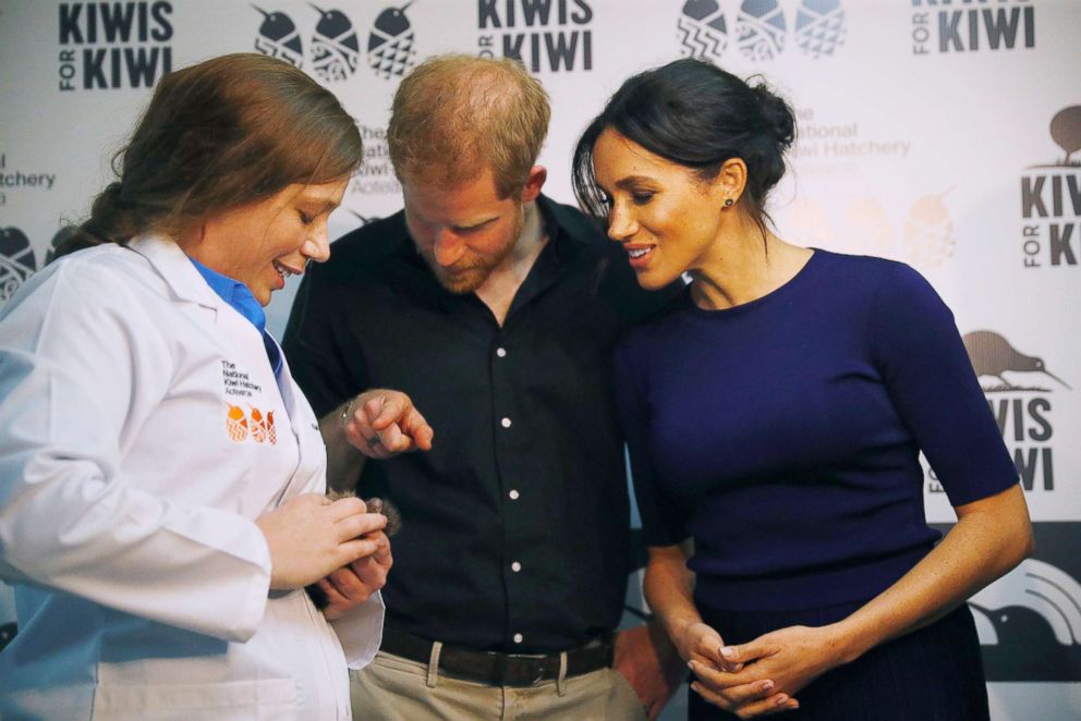 PHOTO: Prince Harry, Duke of Sussex and Meghan Markle, Duchess of Sussex look at kiwi chicks during their to the National Kiwi Hatchery at Rainbow Springs, Oct. 31, 2018, in Rotorua, New Zealand. 