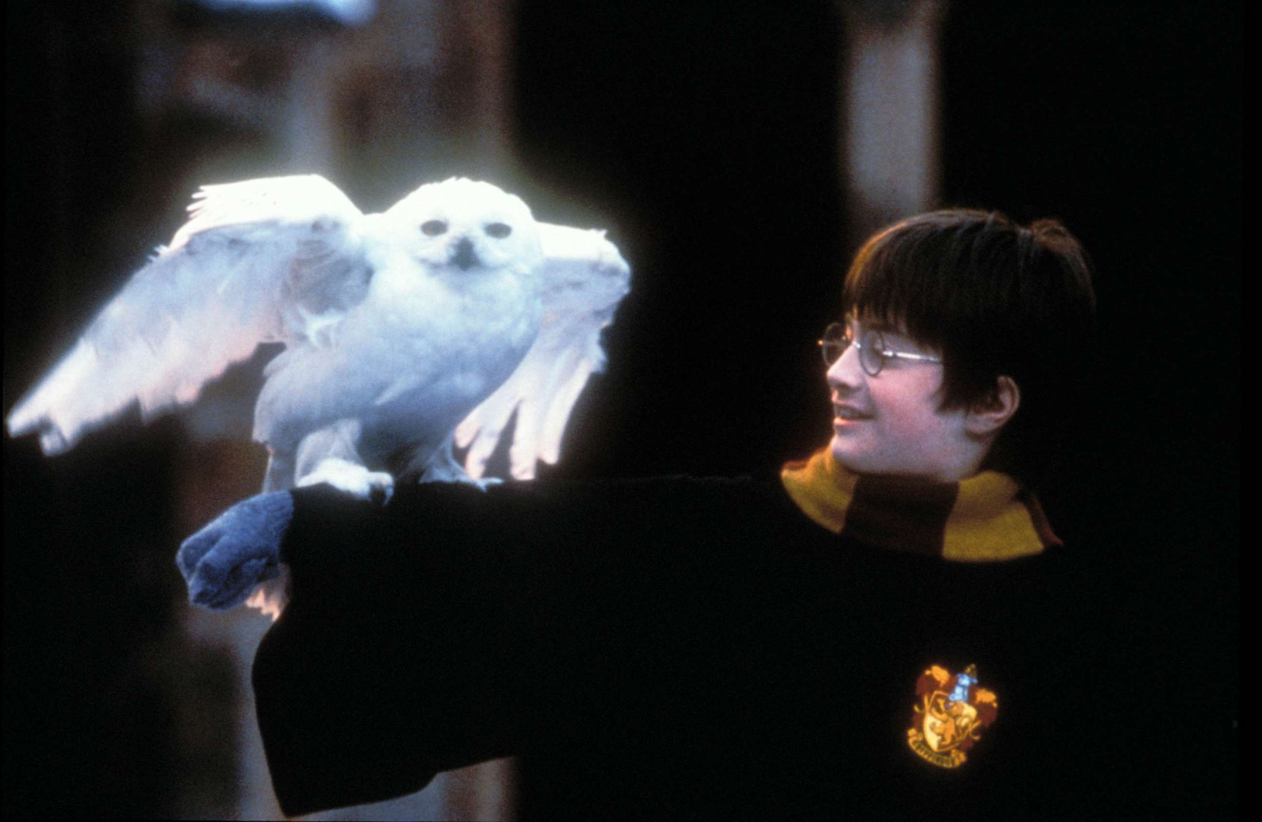 PHOTO: Daniel Radcliffe, as Harry Potter, in a scene from "Harry Potter and the Sorcerer's Stone."