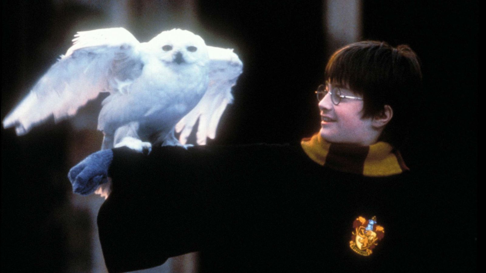 PHOTO: Daniel Radcliffe, as Harry Potter, in a scene from "Harry Potter and the Sorcerer's Stone."