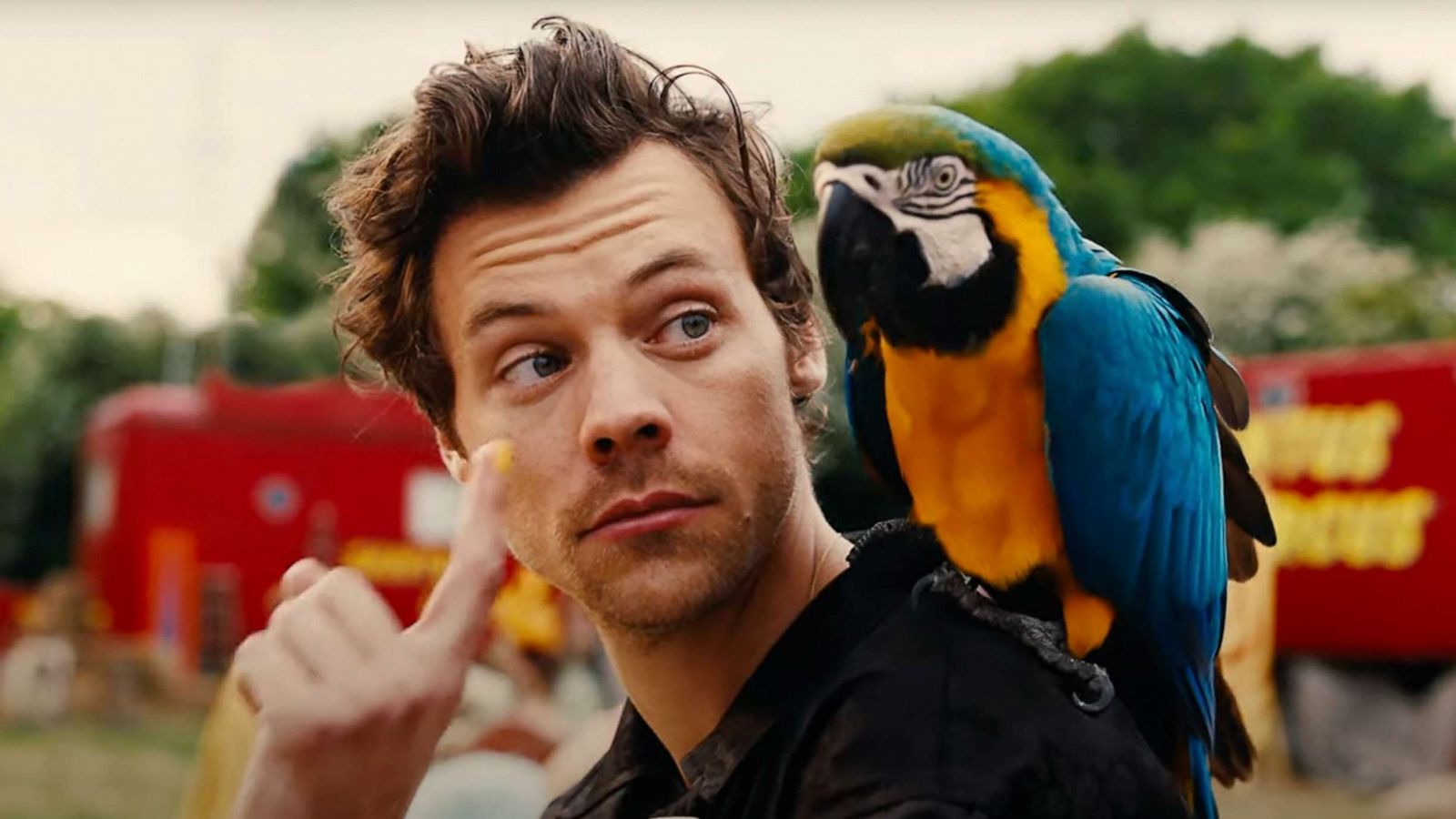 PHOTO: Harry Styles in a scene from his latest music video for the song "Daylight."