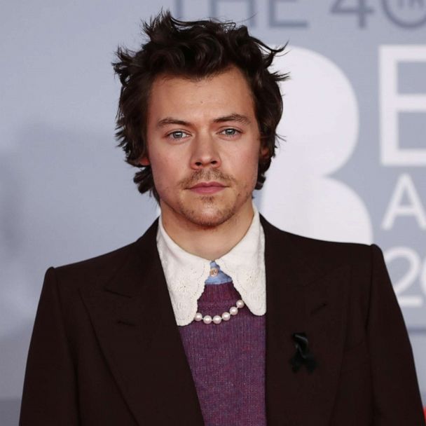 Harry Styles volunteers to watch stranger's dog while he picks up a  restaurant order - ABC News