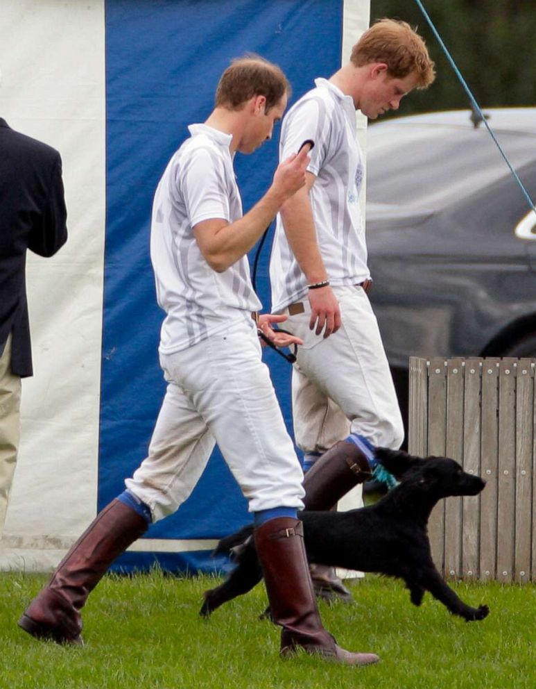 PHOTO: Prince William, Duke of Cambridge and Prince Harry walk with Prince William's and Catherine, Duchess of Cambridge's dog Lupo after playing in the Audi Polo Challenge charity polo match at Coworth Park Polo Club on May 13, 2012, in Ascot, England.