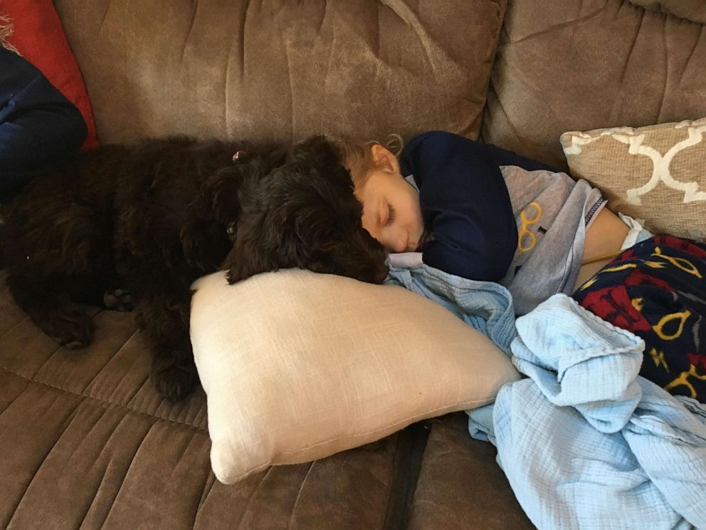 PHOTO: Truett Palmer, a 2-year-old who was sad to leave a hospital therapy dog after receiving heart transplant, has been gifted a pup of his very own.