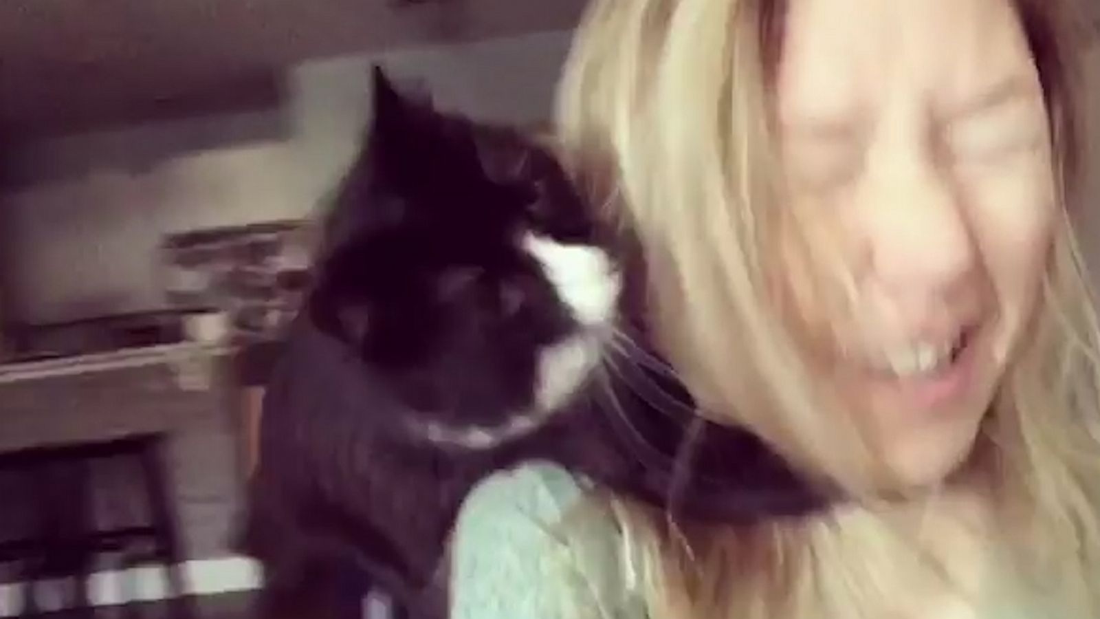 PHOTO: Helen the cat jumps on mom Elizabeth Kronyak's face every time she sings