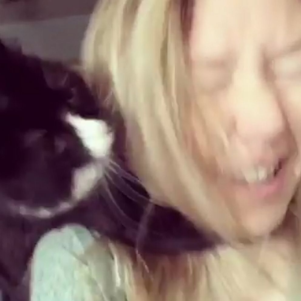 VIDEO: Everyone’s a critic: Cat jumps on mom's face every time she sings