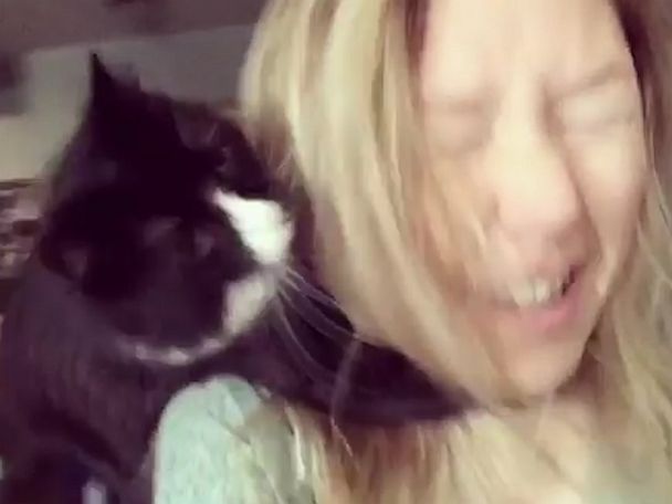 Everyone S A Critic Cat Jumps On Mom S Face Every Time She Sings Gma