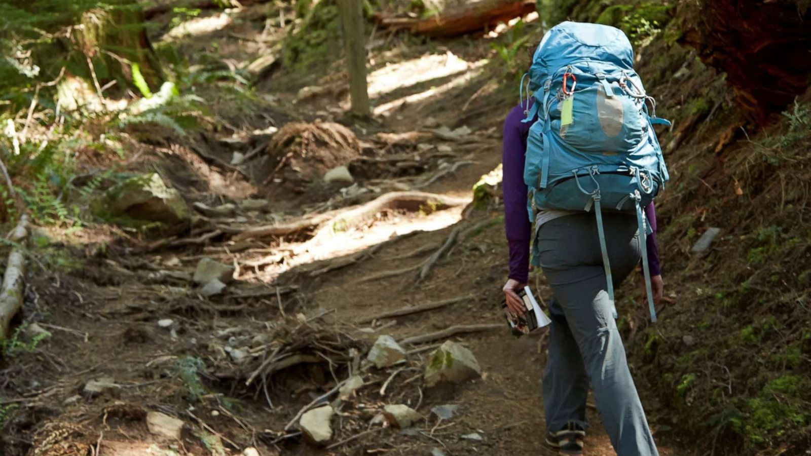 PHOTO: A hiker walks a path in this stock photo.