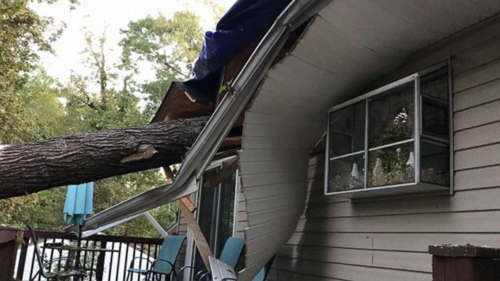 Video captured on a family’s Ring security camera in their living room shows the terrifying moment that a tree came crashing through their home.