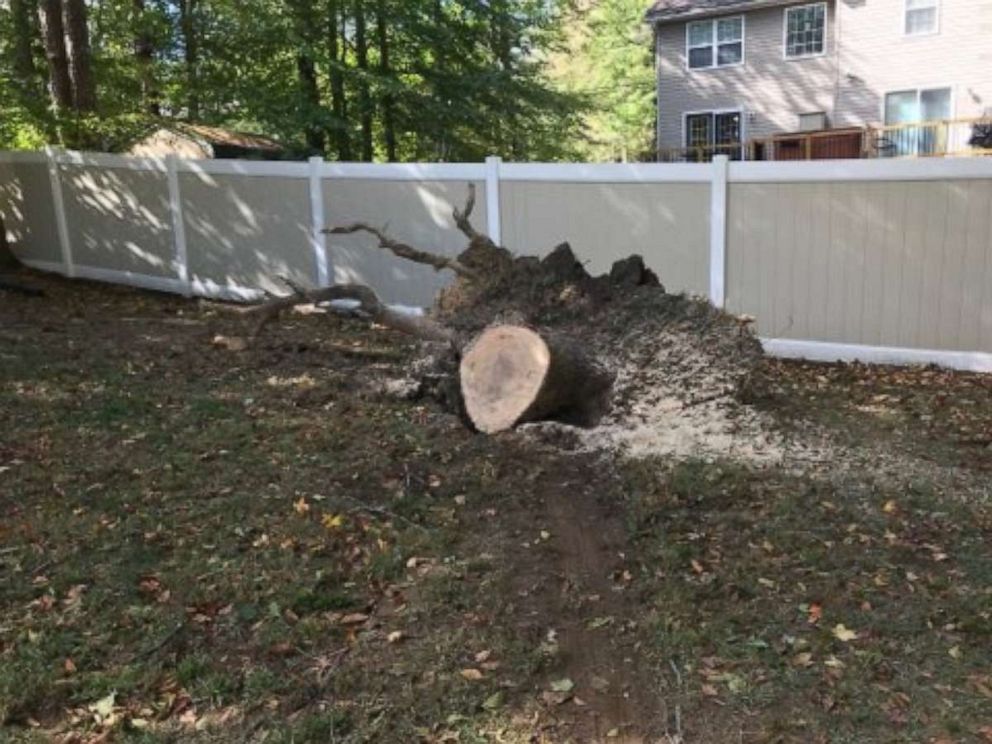 PHOTO: Remains of the tree that crashed through a family's home in Maryland.