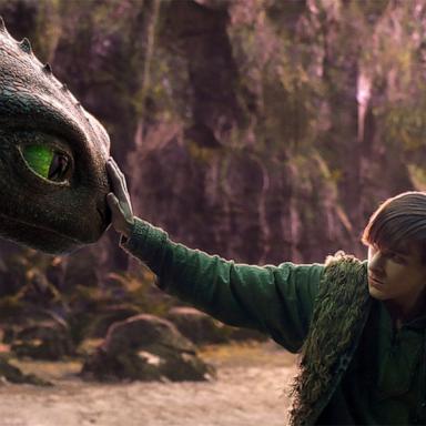 PHOTO: Scene from "How to Train Your Dragon."