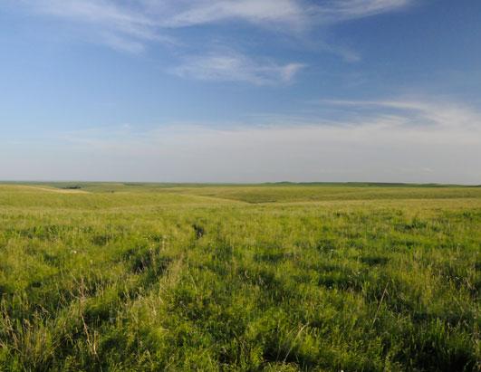 Tallgrass Prairie National Preserve: A Sea Of Grass Photos - Abc News