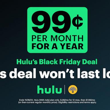 PHOTO: Hulu's Black Friday special.