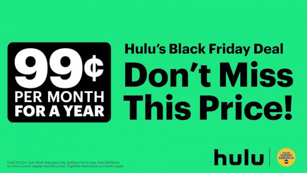 Hulu Black Friday Deal Promotion