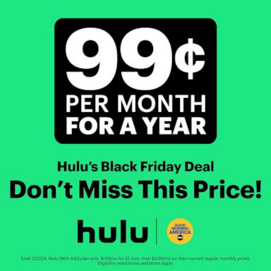 PHOTO: Hulu Black Friday deal.