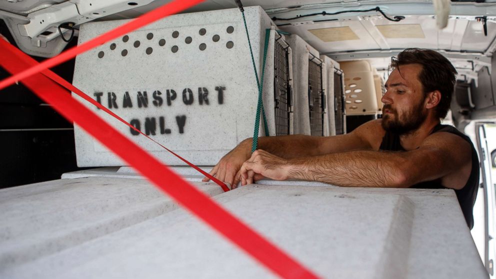 PHOTO: Evan Shepard, the lead canine behavior assessor for McKamey, works on securing kennels in a transport van at McKamey Animal Center on Sept. 12, 2018 in Chattanooga, Tenn.