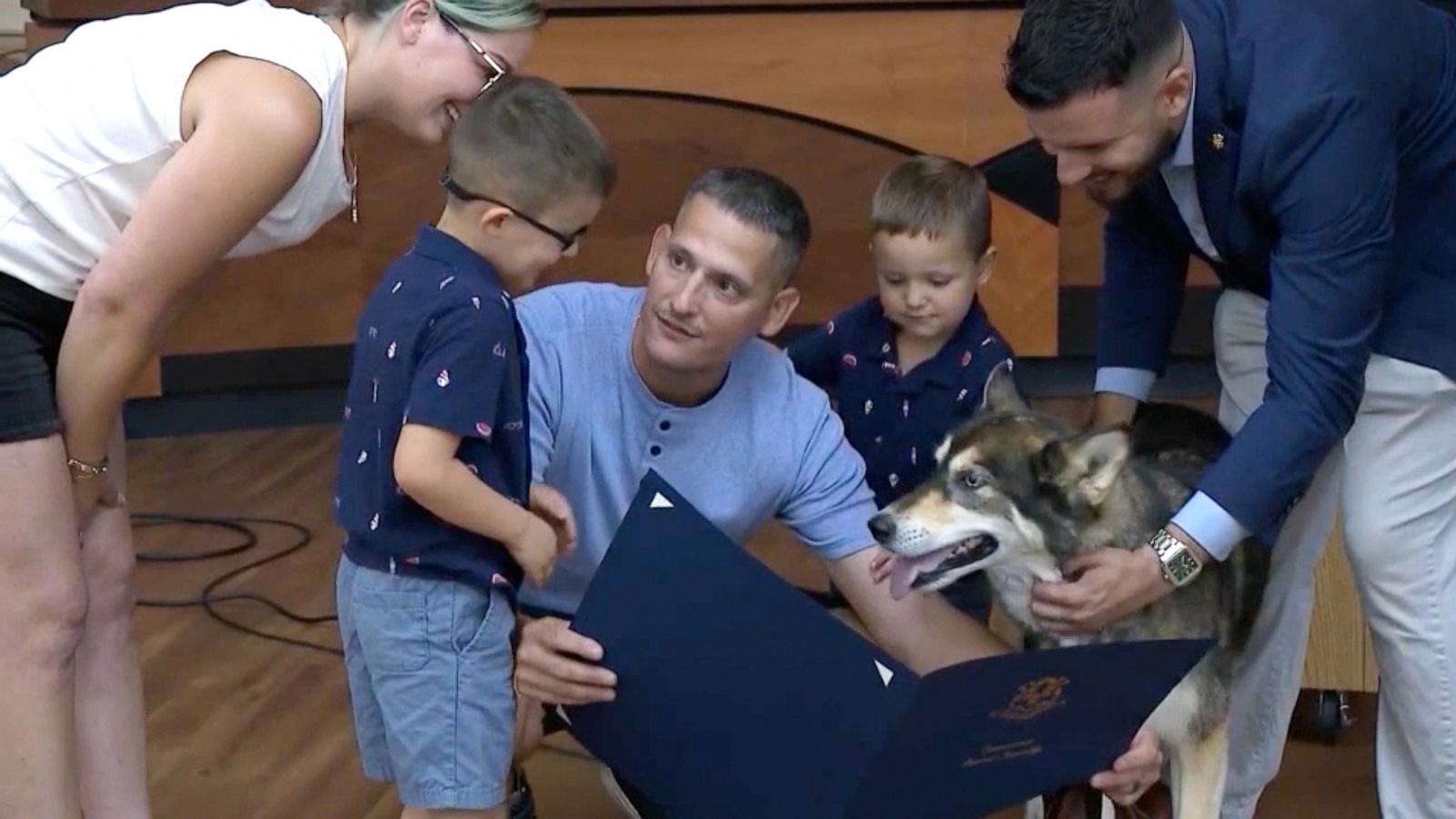 PHOTO: Bella the Husky is presented with a legislative honor for protecting the Tazzara family from a bear attack earlier this month in Torringtn, Connnecticut.