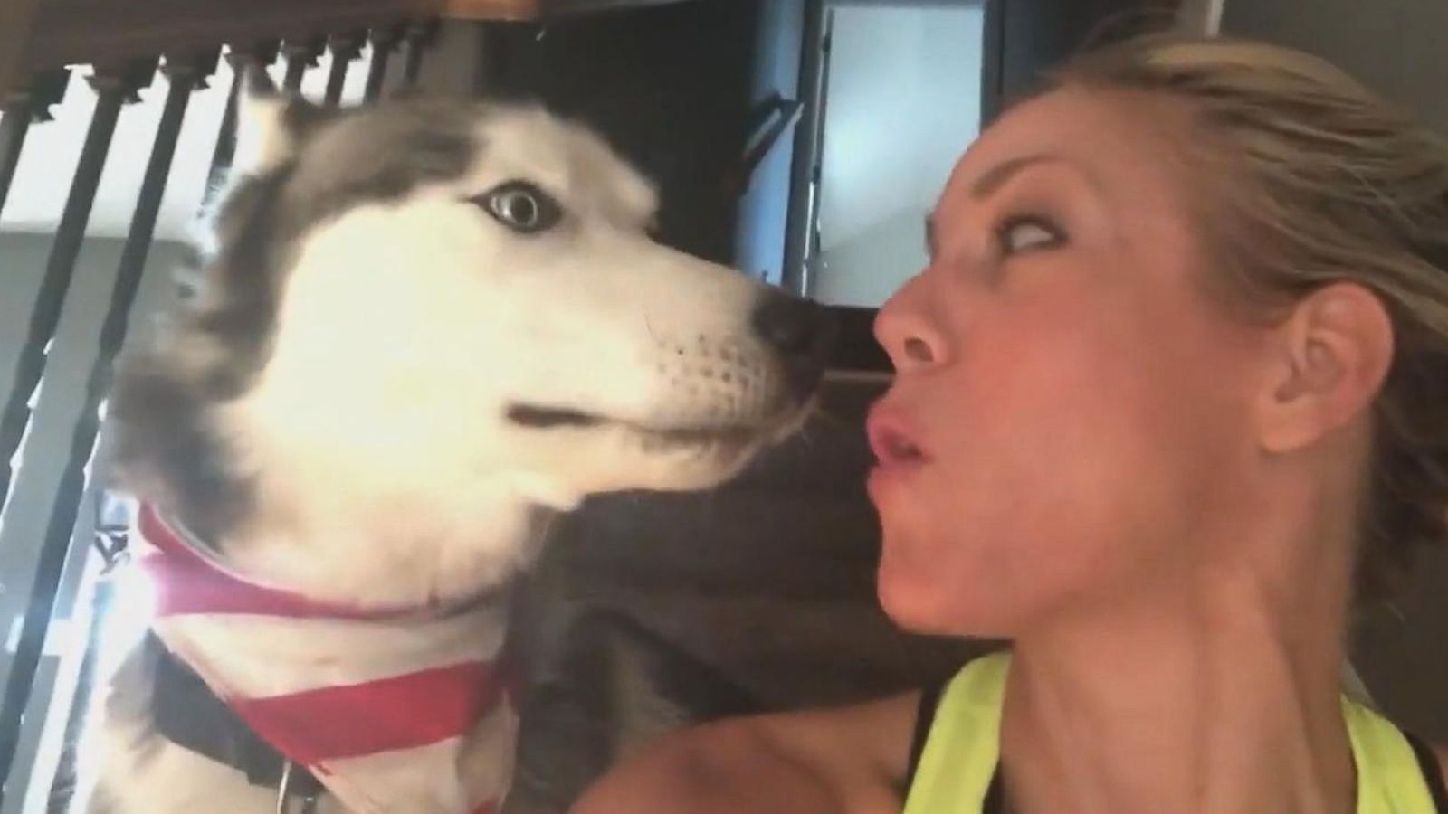 PHOTO: Megan Vaughan, 35, of Tennessee, recorded a video of herself with her Husky howling off-key.