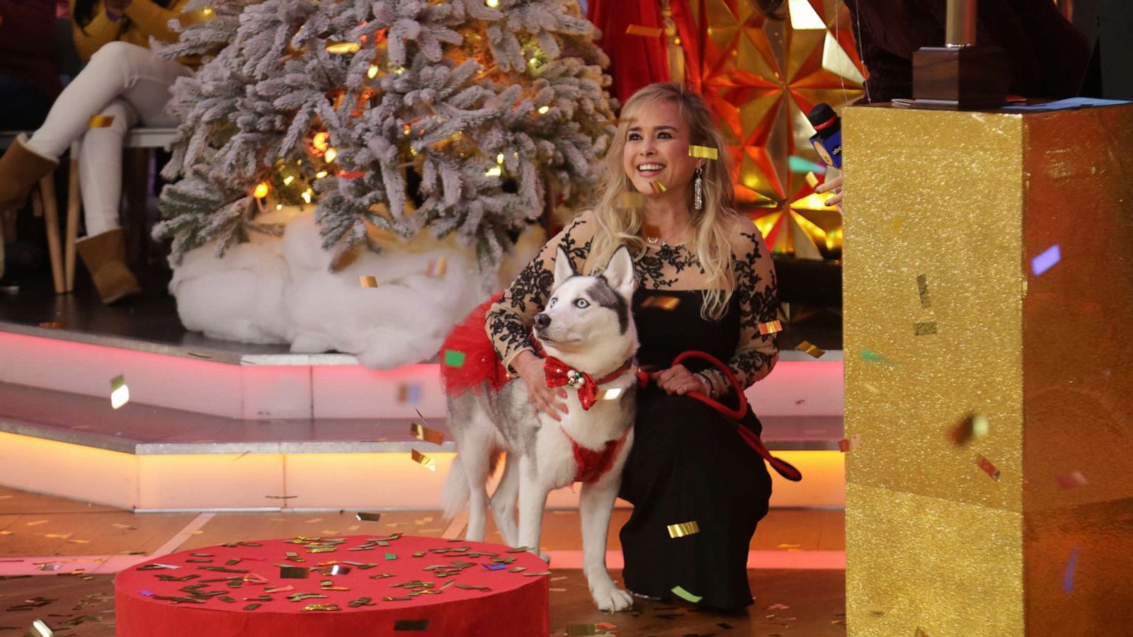 PHOTO: Izzy the Husky took the crown as Pet of the Year for "Good Morning America's" first-ever awards.