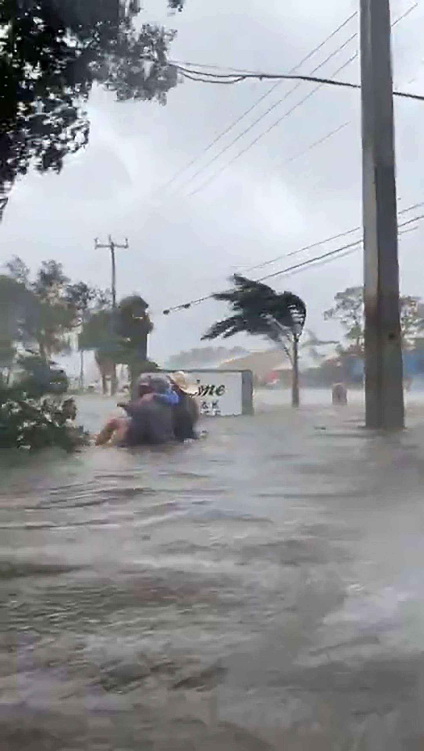 PHOTO: Good samaritans rescue a driver caught in floodwaters in in Bonita Springs, Fla, Sept. 28, 2022, as Hurricane Ian passed over the state. 