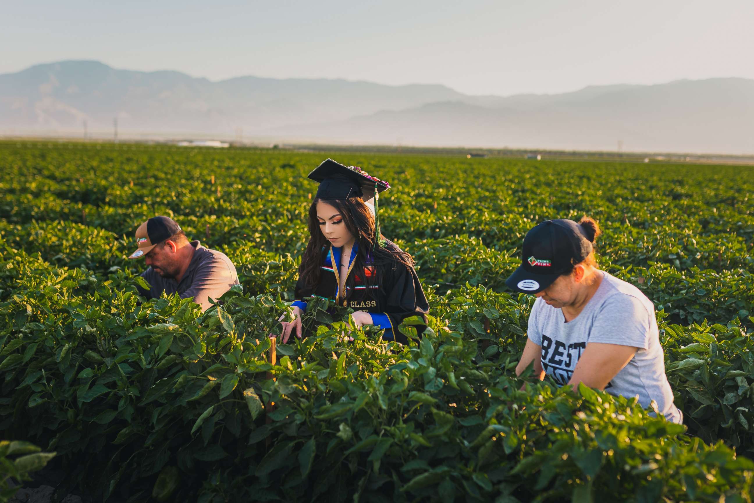 PHOTO: Jennifer Rocha, 21, a new graduate from the University of California San Diego, poses for a graduation photo with her parents in the fields where they worked to support her education.
