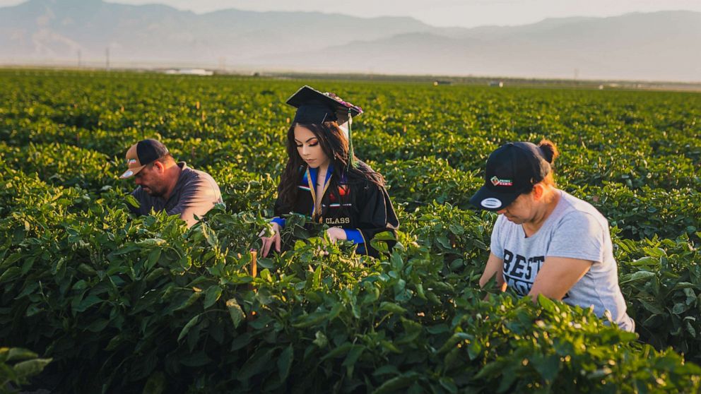 PHOTO: Jennifer Rocha, 21, a new graduate from the University of California San Diego, poses for a graduation photo with her parents in the fields where they worked to support her education.