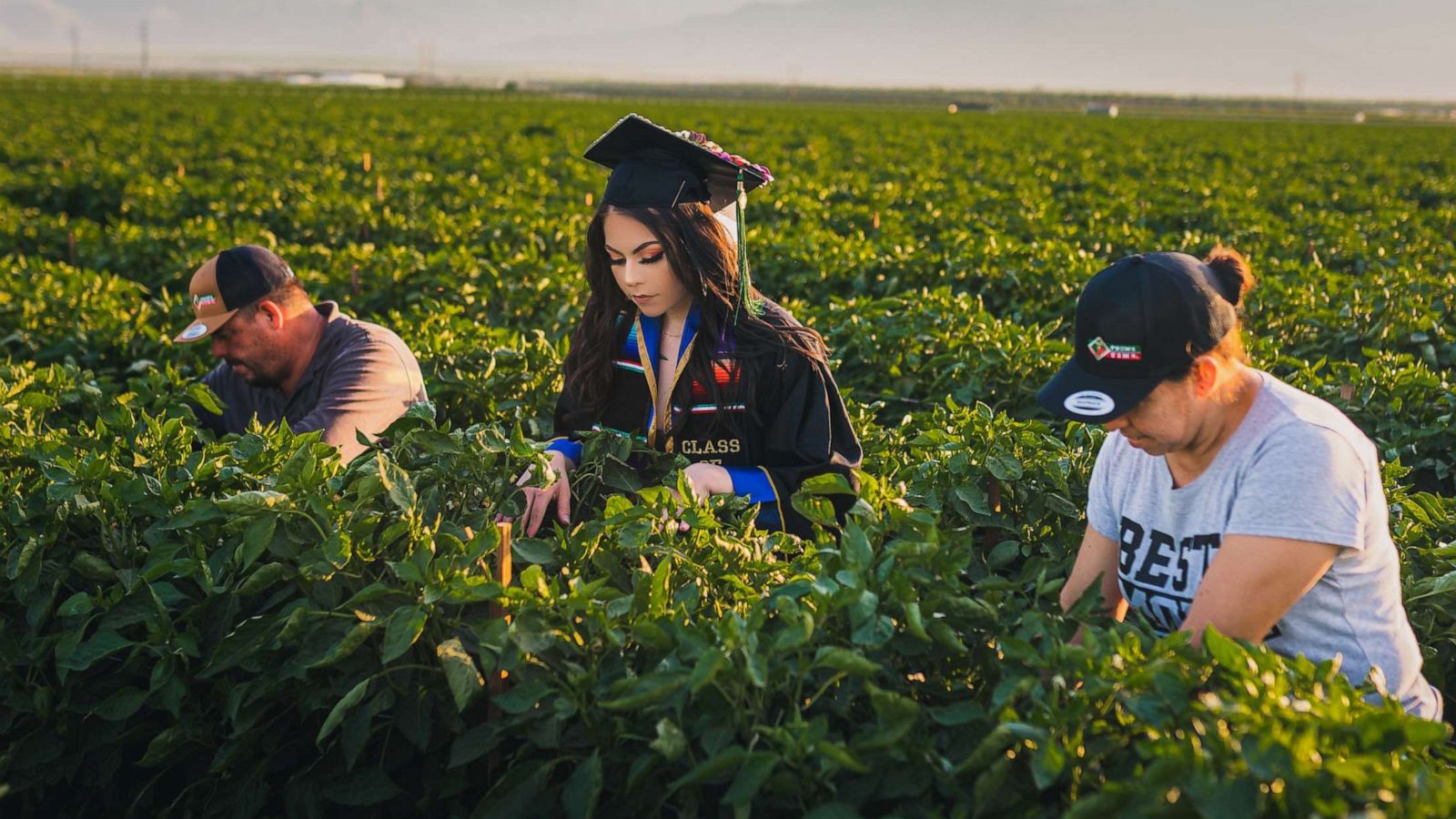 PHOTO: Jennifer Rocha, 21, a new graduate from the University of California San Diego, poses for a graduation photo with her parents in the fields where they worked to support her education.