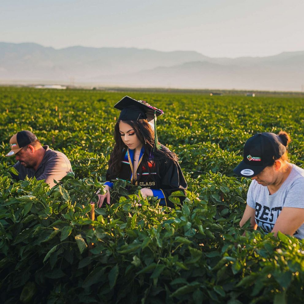 VIDEO: Stanford grad’s viral tweet highlights pay disparity for farmworkers 