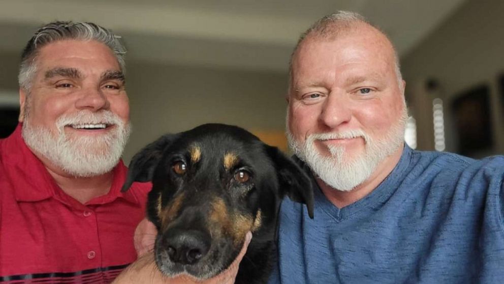 Dog adopted after being called 'gay,' abandoned at shelter - ABC News