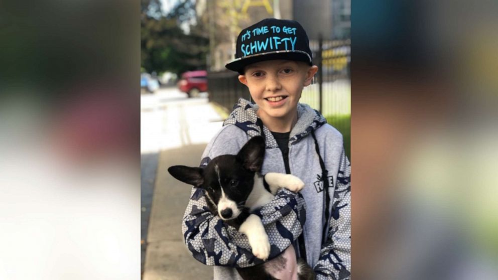 Twelve-year-old Johnny Martin got his corgi "dream dog" last week after over a year of cancer treatment.