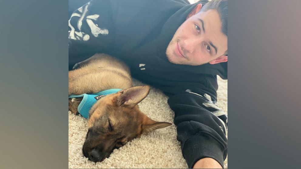 PHOTO: Nick Jonas posted photos to his Instagram account with his new puppy, an anniversary gift from his wife Priyanka Chopra, Nov. 26, 2019.