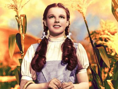 Judy garland's shop dress wizard oz