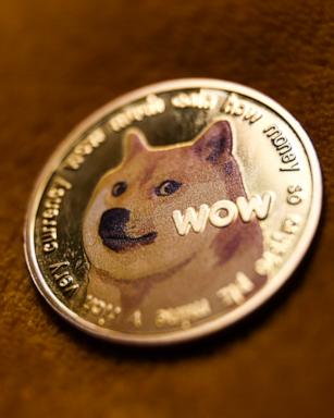 Viral dog Kabosu, who inspired 'Doge' meme, DogeCoin, dies at 18