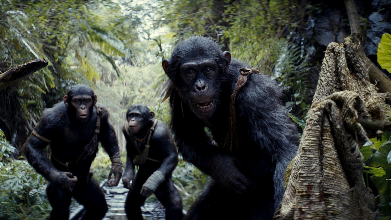 PHOTO: Scene from "Kingdom of the Planet of the Apes."